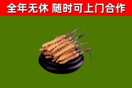 肥乡区烟酒回收冬虫夏草.jpg